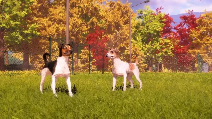 Animal Shelter 2 - Hunting Dogs Pack DLC - STEAM RU