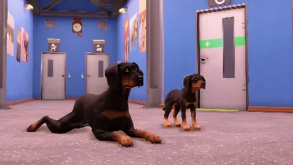 Animal Shelter 2 - Hunting Dogs Pack DLC - STEAM RU