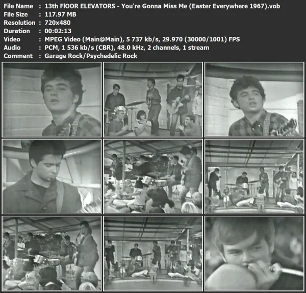 13th FlOOR ELEVATORS - You're Gonna Miss Me