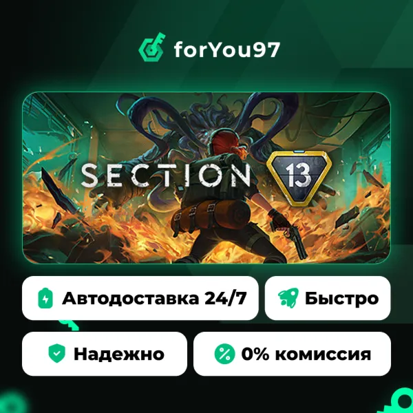 Section 13 · Steam Gift · АВТОДОСТАВКА