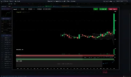 Wall Street Raider АВТОДОСТАВКА STEAM РОССИЯ