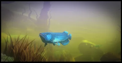 Feed and Grow: Fish ✅ STEAM GIFT AUTO ✅ RU+МИР
