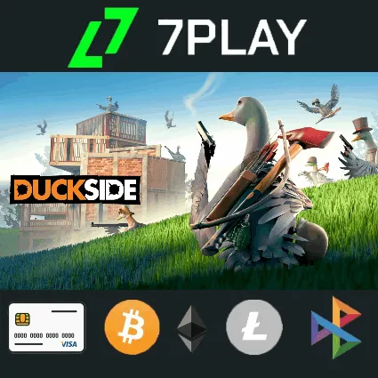 Duckside - Оффлайн Steam [24/7]