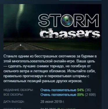 Storm Chasers АВТОДОСТАВКА STEAM РОССИЯ
