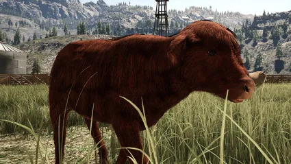 Ranch Simulator: Highland Cow DLC ✅ STEAM GIFT AUTO ✅ RU+МИР