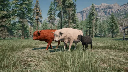 Ranch Simulator: Highland Cow DLC ✅ STEAM GIFT AUTO ✅ RU+МИР