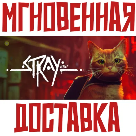 Stray Steam РФ+СНГ Ключ⭐ + Подарок
