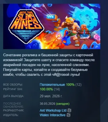 Into the Slimy Mines АВТОДОСТАВКА STEAM РОССИЯ