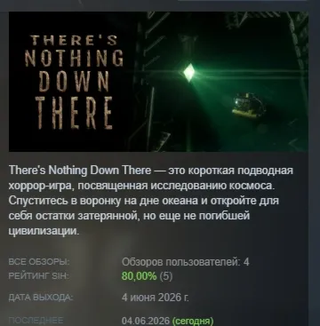 There's Nothing Down There АВТОДОСТАВКА STEAM РОССИЯ