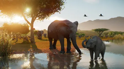 Planet Zoo 2 - STEAM GIFT RU/KZ/UA/BY