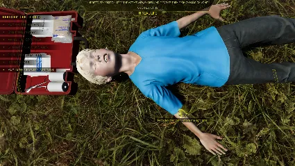 Accident / STEAM GIFT / Выбор стран