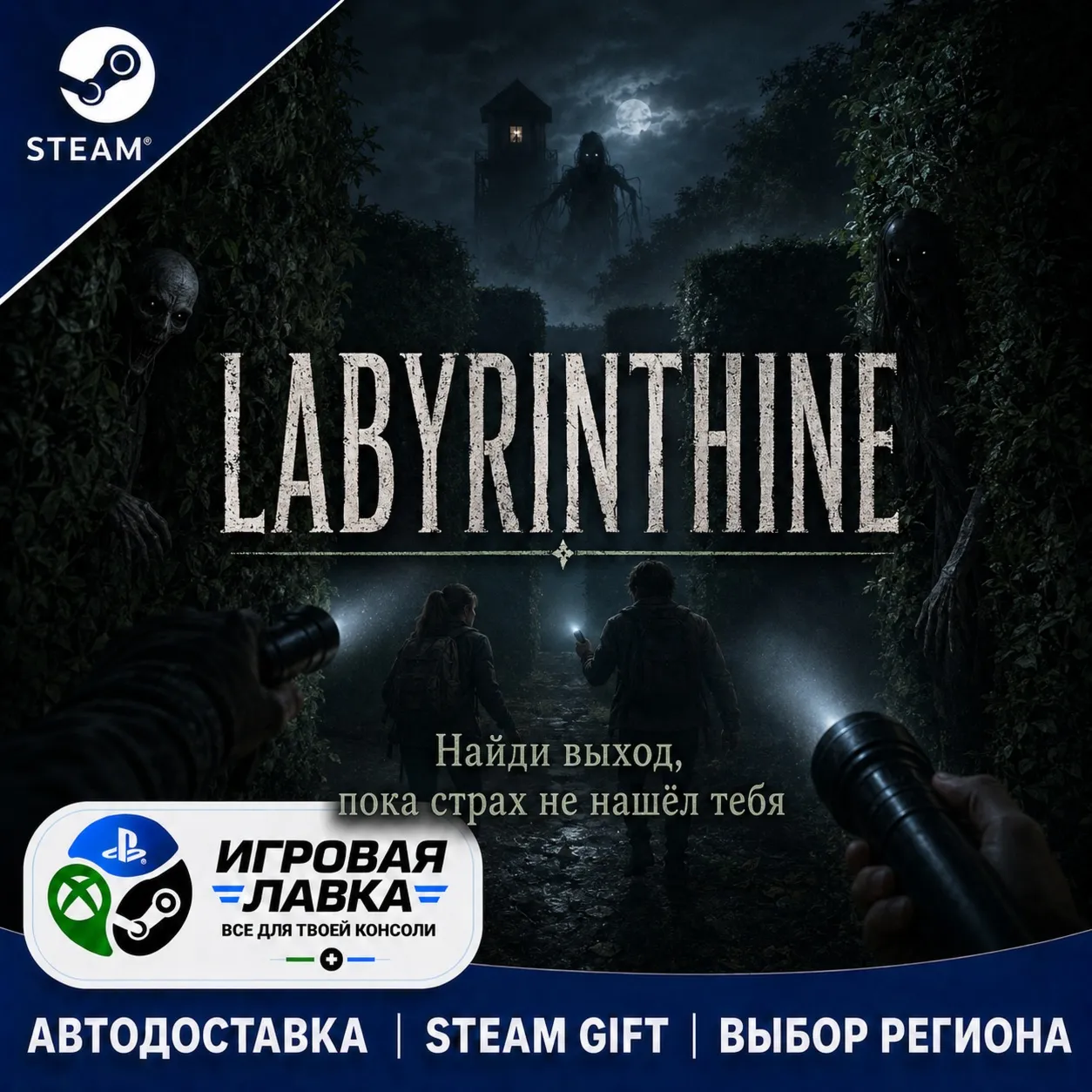 Labyrinthine | Steam Gift | АВТО