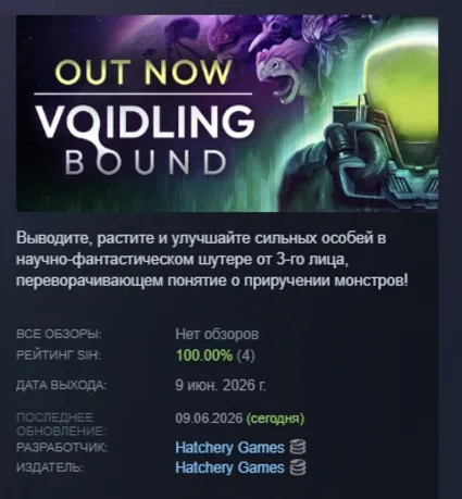 Voidling Bound АВТОДОСТАВКА STEAM РОССИЯ