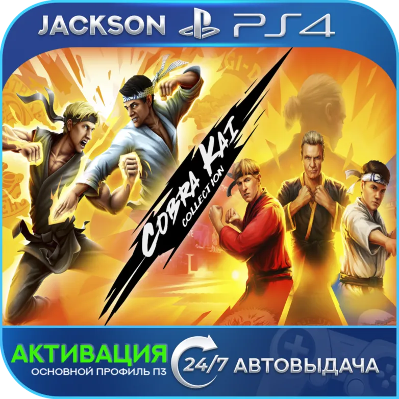 Cobra Kai Collection (PS4) ENG | Активация