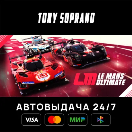 Le Mans Ultimate STEAM GIFT