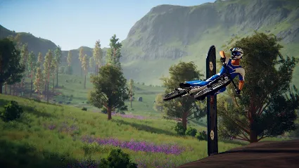 Descenders Steam КЛЮЧ GLOBAL