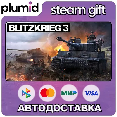 Blitzkrieg 3 Standard Edition Steam Gift / Россия + МИР / АВ