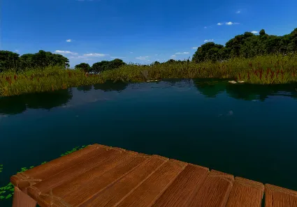 Fishing Party VR / STEAM GIFT / Выбор стран