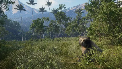 theHunter: Call of the Wild™ - Peru Hunting Reserve DLC