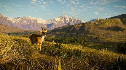 theHunter: Call of the Wild™ - Peru Hunting Reserve DLC