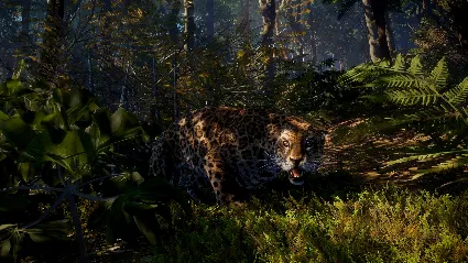 theHunter: Call of the Wild™ - Peru Hunting Reserve DLC