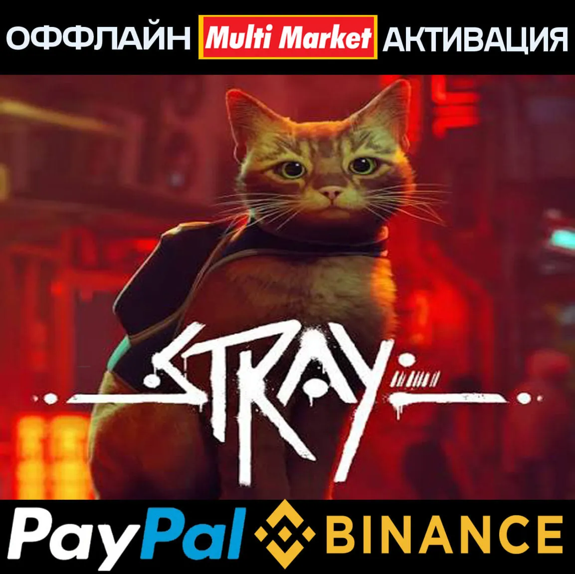 Stray STEAM ????️ ????????????????????????