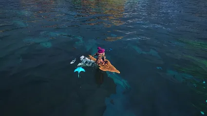 Voyagers of Nera - Whale and Dolphin Conservation Package DLC