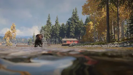 theHunter: Call of the Wild - Labrador Retriever DLC EU Steam КЛЮЧ