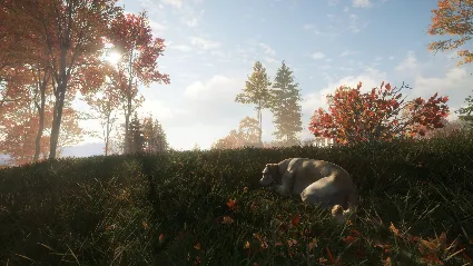 theHunter: Call of the Wild - Labrador Retriever DLC EU Steam КЛЮЧ