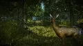 The Witcher 2: Assassins of Ki — фото 3