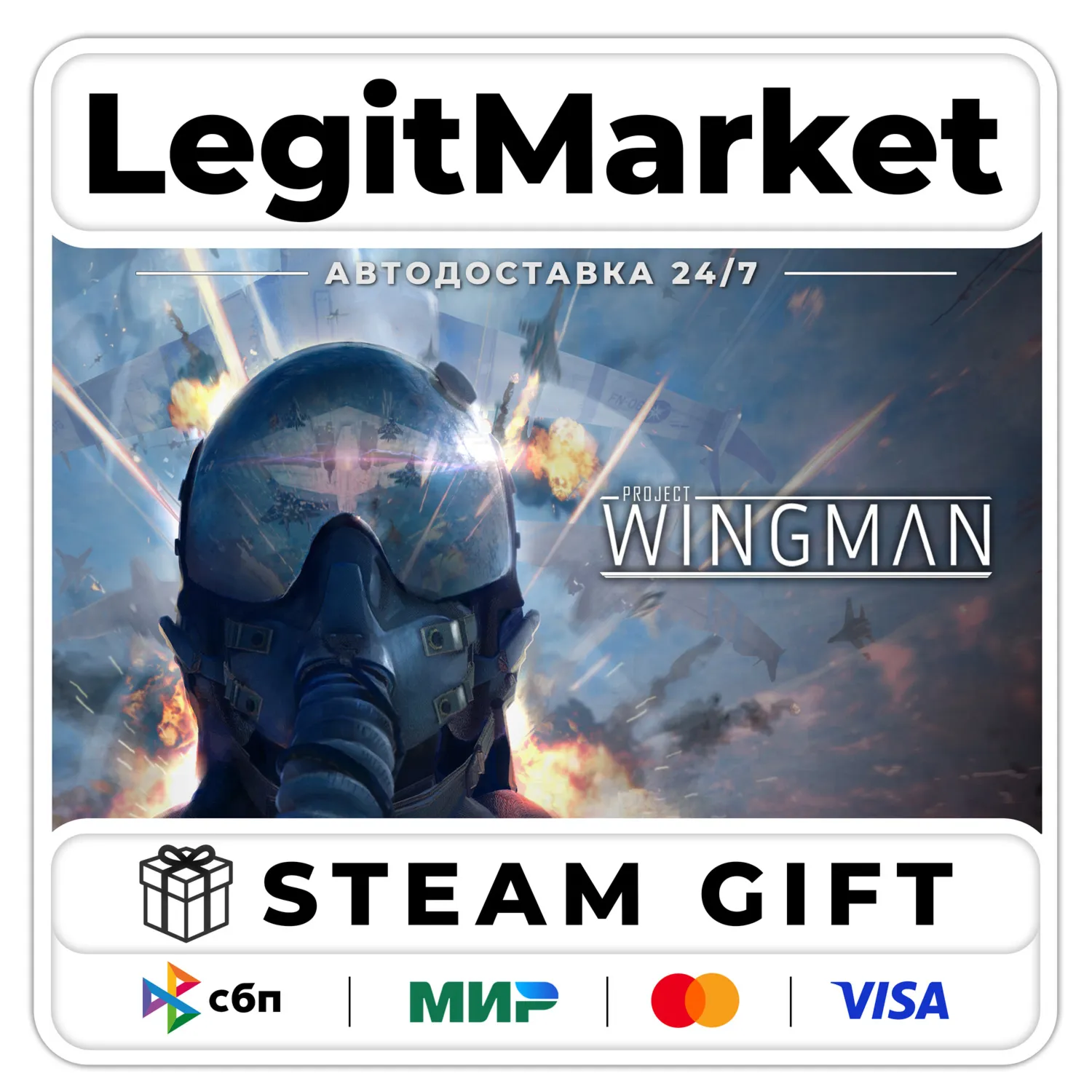 Project Wingman / Steam AUTO / RU + WORLD