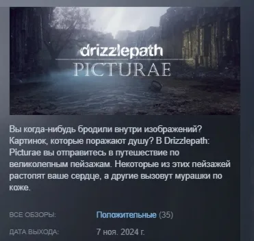 Drizzlepath: Picturae АВТОДОСТАВКА STEAM РОССИЯ