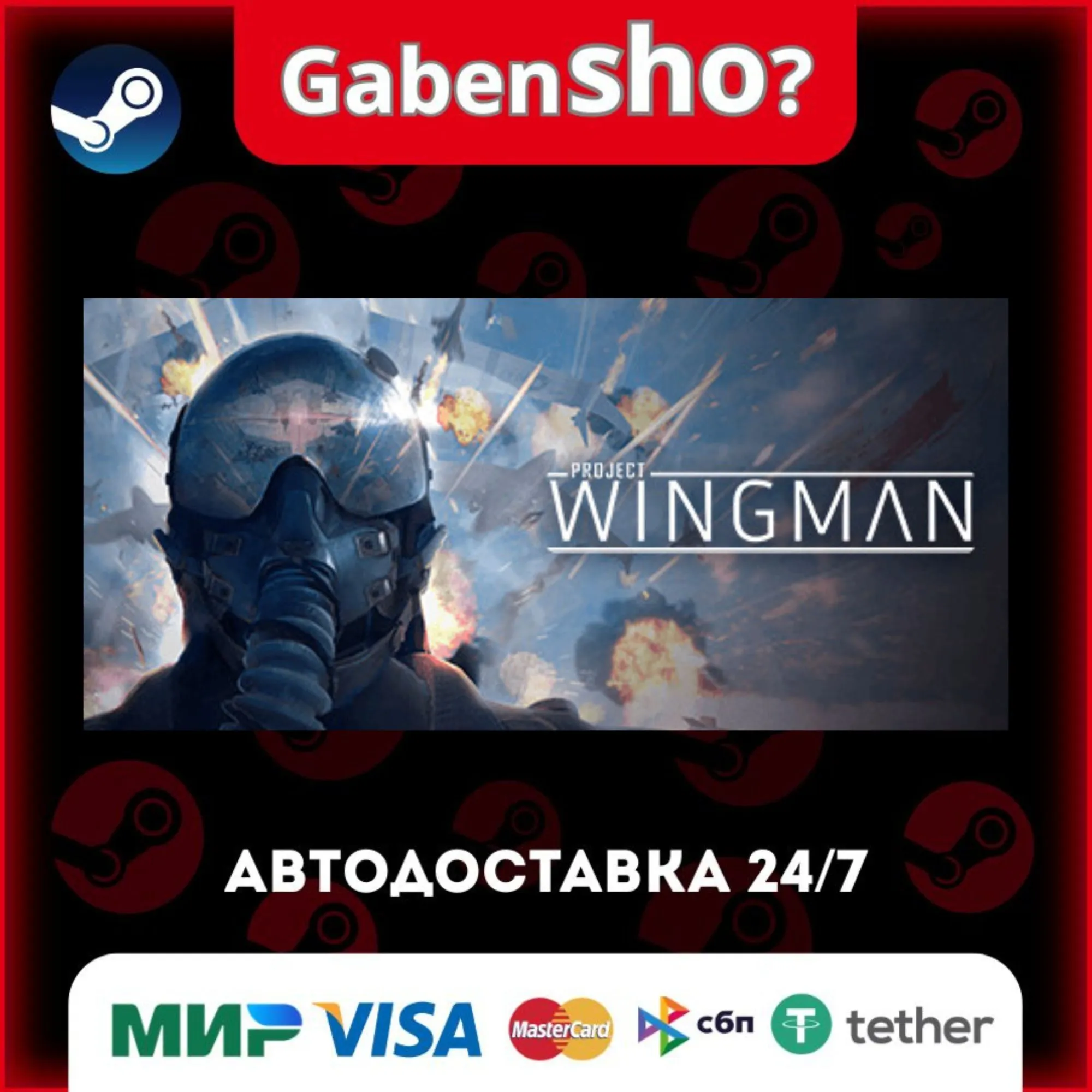 Project Wingman СТИМ Steam Gift