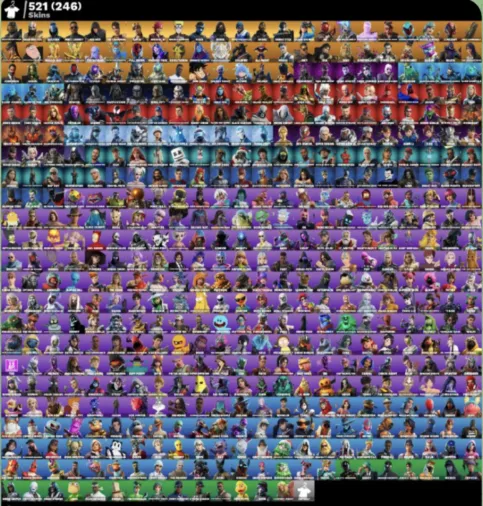 FN | 521 skins (246 paid) | Full access