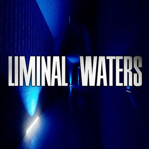 Liminal Waters Steam ключ Весь Мир Global RU/CIS РФ Россия key код стим СНГ