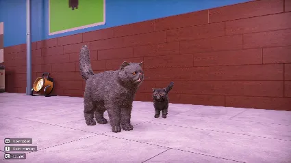 ️ВСЕ СТРАНЫ️ Animal Shelter 2 - Fluffy Cats Pack STEAM