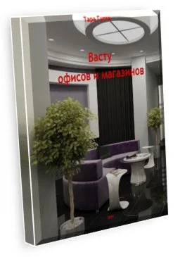 Васту офисов и магазинов