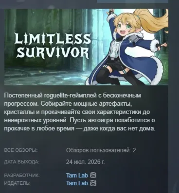 Limitless Survivor АВТОДОСТАВКА STEAM РОССИЯ