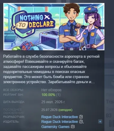 Nothing To Declare АВТОДОСТАВКА STEAM РОССИЯ
