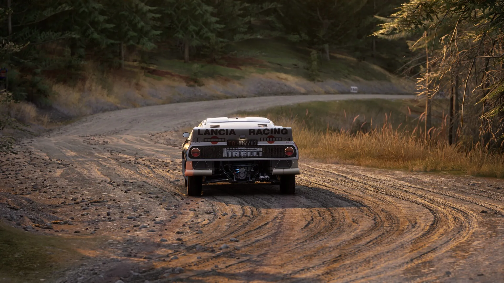Assetto Corsa Rally| STEAM КЛЮЧ РФ+СНГ