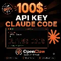 5$-50$ API KEY | Claude AI | C — фото 1