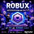 (АВТО 24/7) ROBUX 80-22500 ВСЕ — фото 1