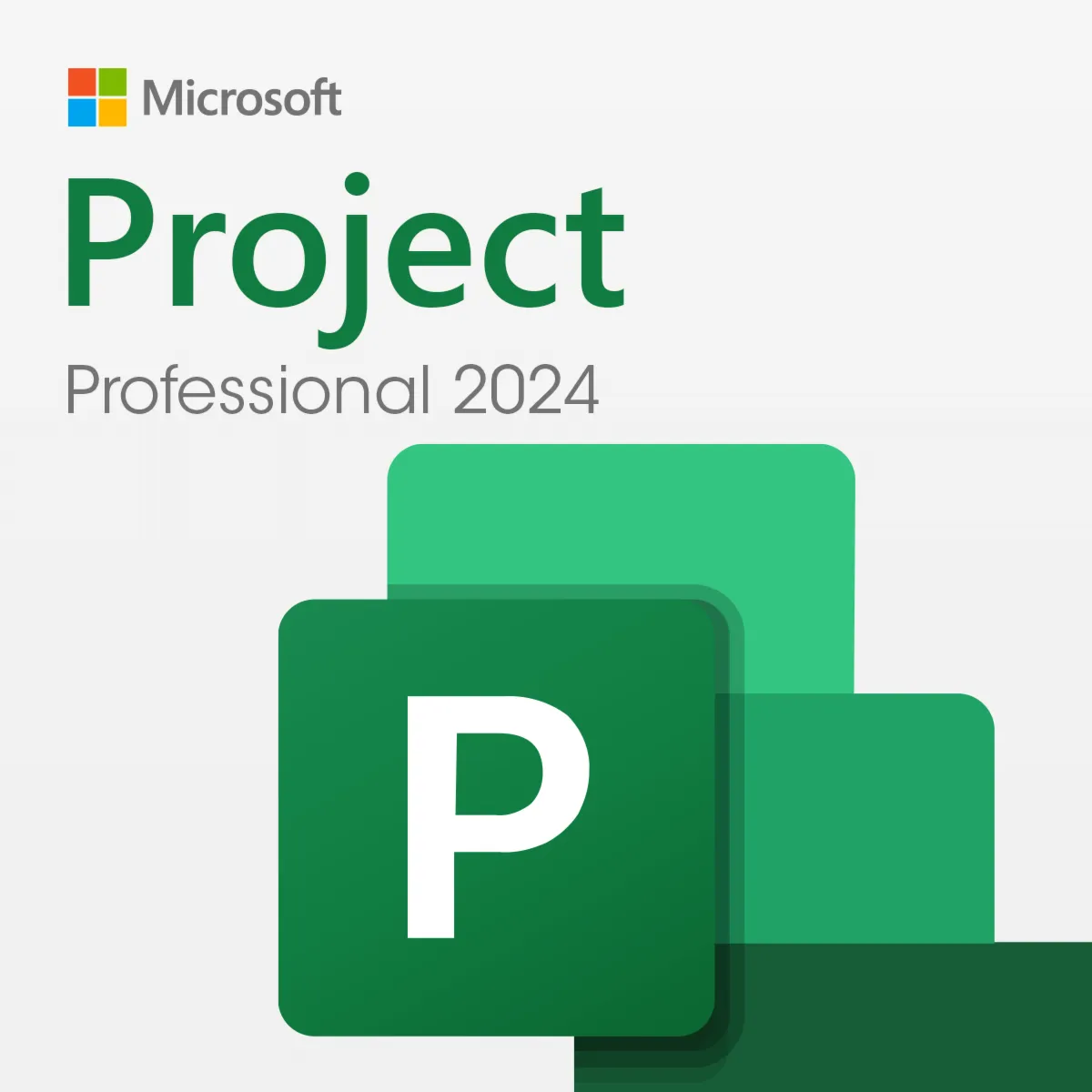 Microsoft Project LTSC Professional 2024 | Активация по телефону | Только для Windows