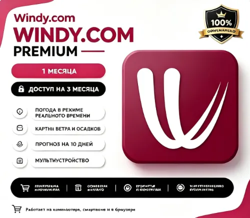 Подписка на премиум-аккаунт Windy.com на 1 год