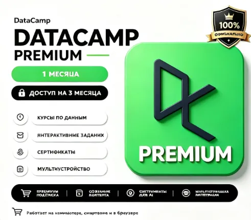 DataCamp Premium счёт 2 месяцев гарантия
