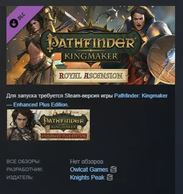Pathfinder: Kingmaker — Royal Ascension DLC Автодоставка Steam Россия Мгновенно