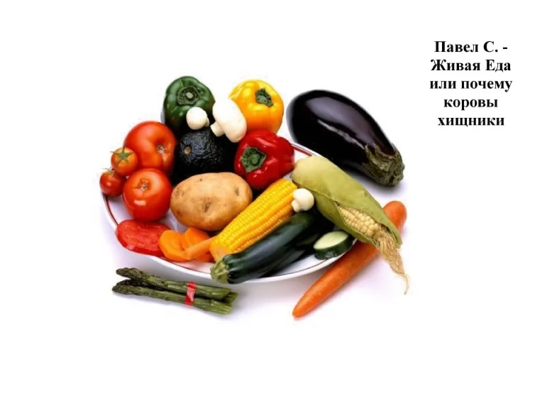 Живая Еда или Почему коровы хищники