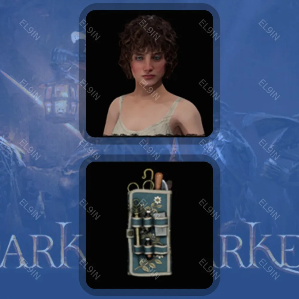 Dark and Darker Твич Дропсы 2 предметов +
