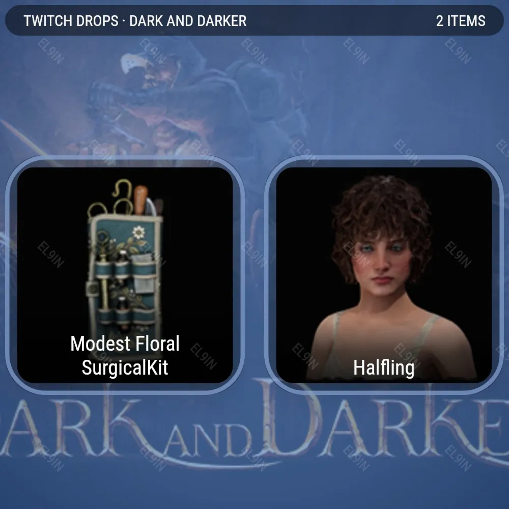⚜️Dark and Darker🚀Твич Дропсы💎2 предметов + 🎁