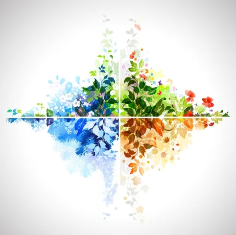 Векторное изображение 